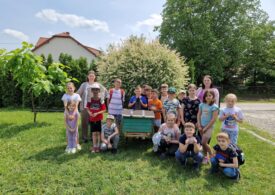 Edukacyjne zajęcia w gospodarstwie pszczelarskim