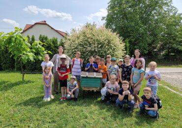 Edukacyjne zajęcia w gospodarstwie pszczelarskim
